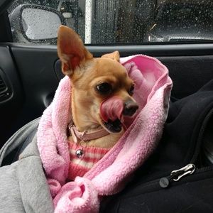 Meet your Posher, Kristal